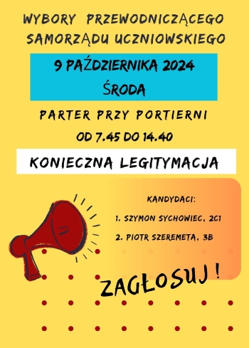 Plakat wybory