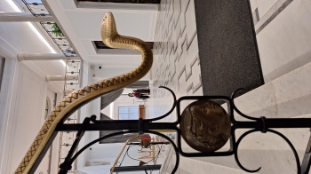 Wizyta uczniów w Sejmie RP i Belwederze