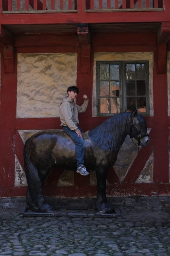 Skansen Den Gamle By w Aarhus