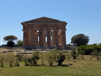 Paestum 1.jpeg