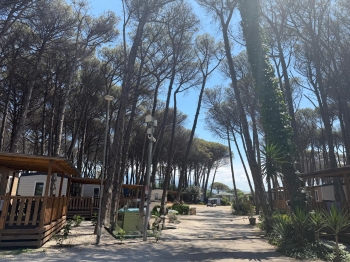 Paestum camping .jpeg