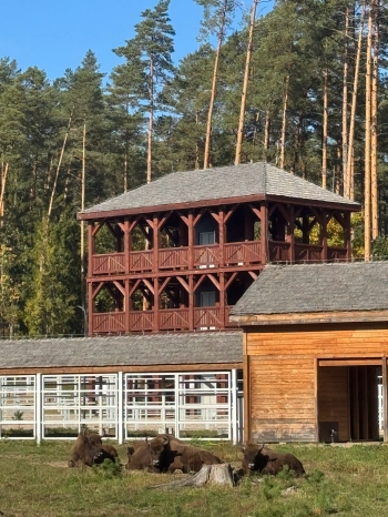 Wycieczka integracyjna klas 1a i 1b - Szlak Tatarski 