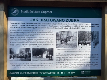 Wycieczka integracyjna klas 1a i 1b - Szlak Tatarski