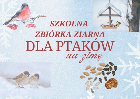 Szkolna zbiórka ziarna dla ptaków na zimę